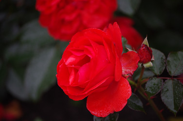 Similar image 10761285