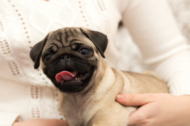 Similar image 10761484