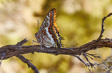 Similar image 10762721