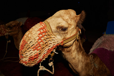 Similar image 10762723