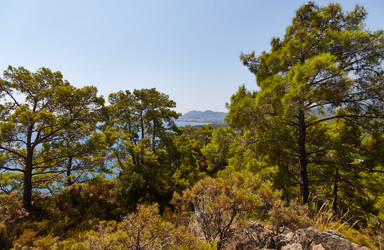 Similar image 10762740