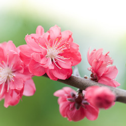 Similar image 10762903