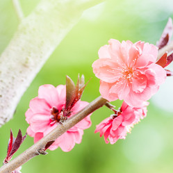 Similar image 10762906