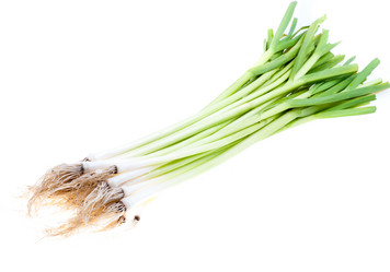 Similar image 10762909