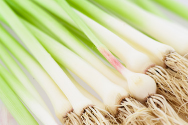 Similar image 10762913