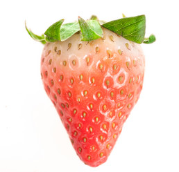 Similar image 10762919