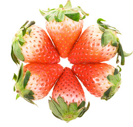 Similar image 10762923