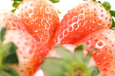 Similar image 10762925