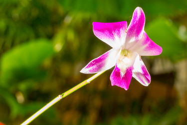 Similar image 10762936