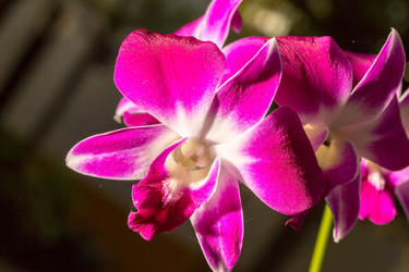 Similar image 10762937