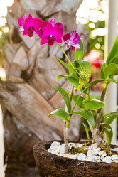 Similar image 10762996