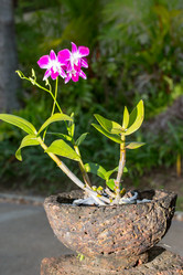 Similar image 10762999