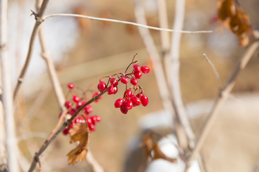 Similar image 10763003