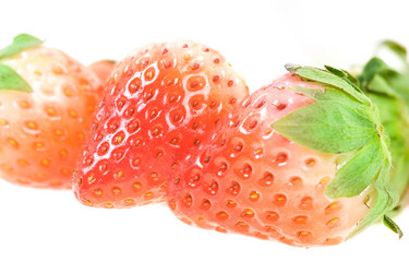 Similar image 10763224