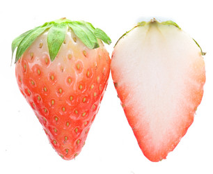 Similar image 10763225