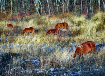 Similar image 10763238