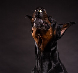 Similar image 10763273