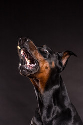 Similar image 10763276