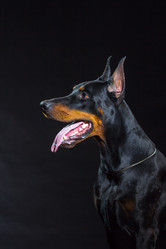 Similar image 10763337