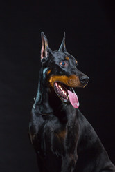 Similar image 10763339