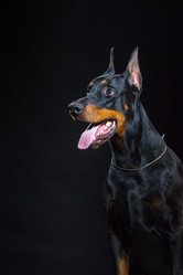 Similar image 10763340