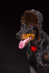 Similar image 10763360