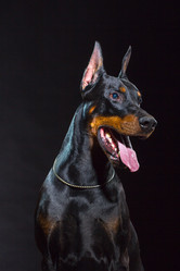 Similar image 10763361