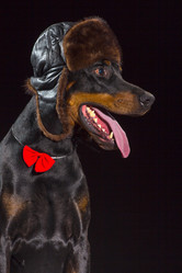 Similar image 10763368