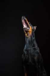 Similar image 10763371