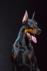 Similar image 10763372