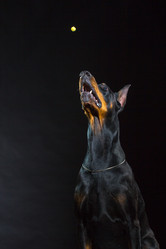 Similar image 10763378