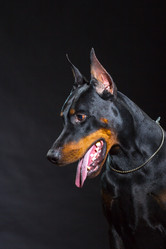 Similar image 10763379