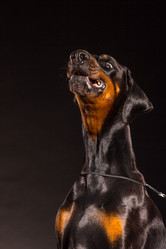 Similar image 10763380