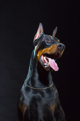 Similar image 10763381