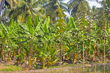 Similar image 10763462