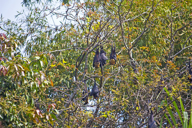 Similar image 10763464