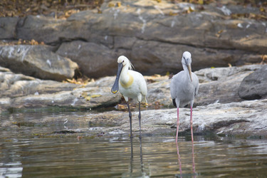 Similar image 10763474