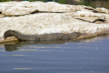 Similar image 10763477