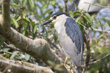 Similar image 10763478