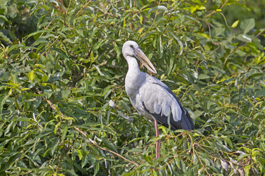 Similar image 10763479