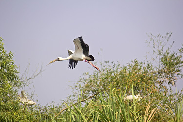 Similar image 10763483