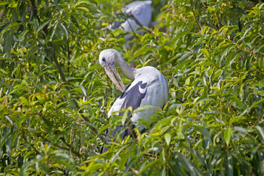 Similar image 10763913