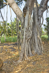 Similar image 10763915