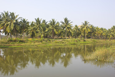 Similar image 10763918