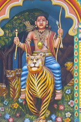 Similar image 10763920