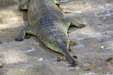 Similar image 10763924