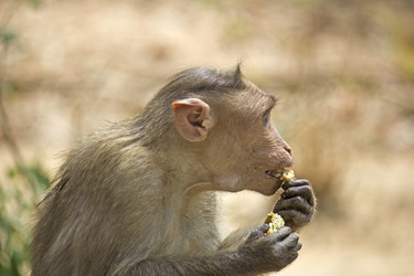 Similar image 10763949