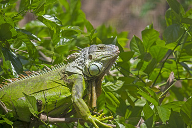 Similar image 10763950