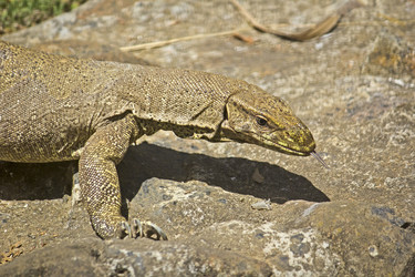 Similar image 10763957