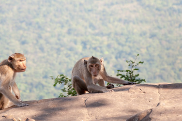 Similar image 10764001